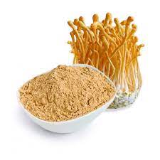 Cordyceps Powder - 1LB - Hamilton Health