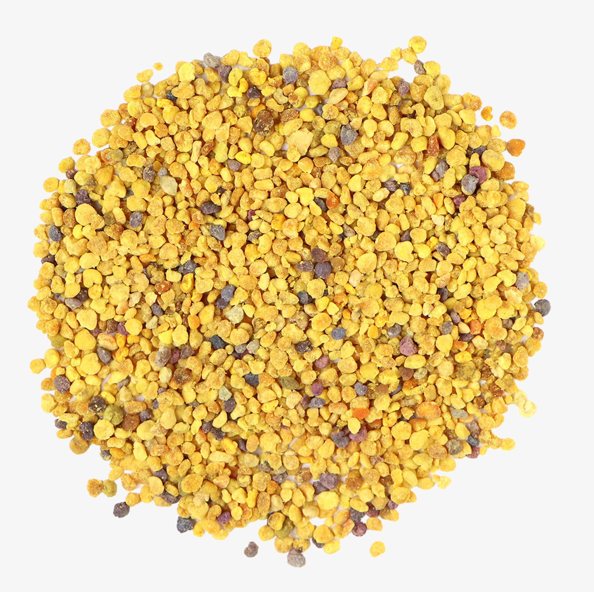 Bee Pollen Powder - 1LB - Hamilton Health