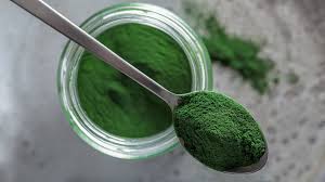 Chlorella Powder - 1LB - Hamilton Health