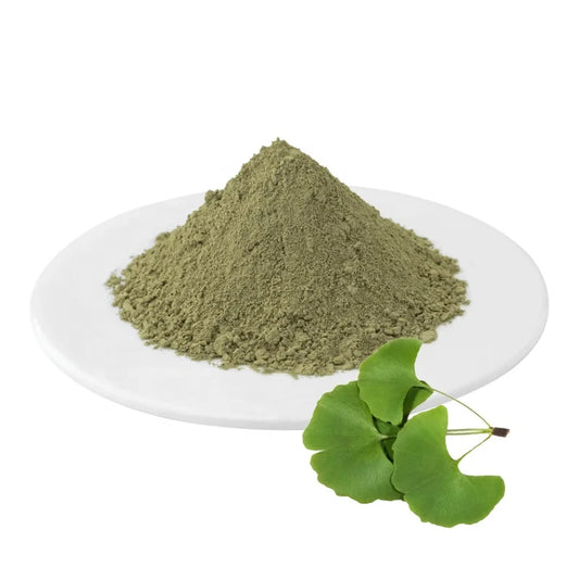 Ginkgo Biloba Powder - 1LB - Hamilton Health