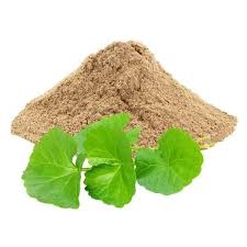 Gotu Kola Powder - 1LB - Hamilton Health