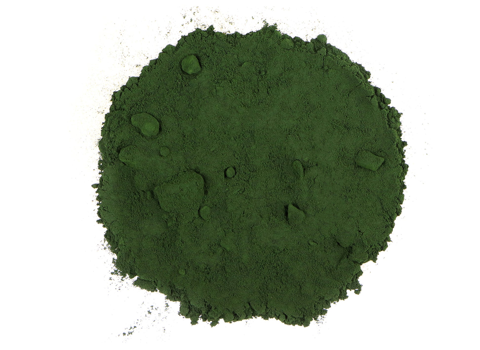 Chlorella Powder - 1LB - Hamilton Health