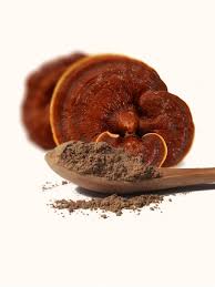 Reishi Mushroom Powder - 1LB - Hamilton Health