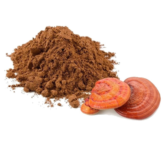 Reishi Mushroom Powder - 1LB - Hamilton Health